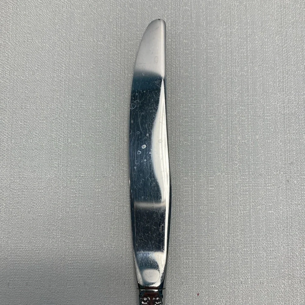 Oneida Community‎ BRAHMS Stainless Glossy Rose Flatware Knife